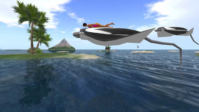 Anhang flying_manta.jpg