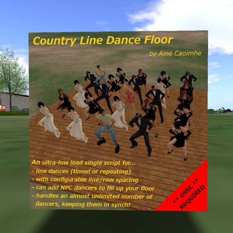 Country Line Dance Floor